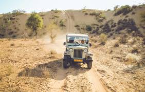 Bishnoi Village Safari